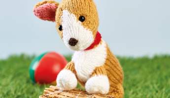 Ralph the Corgi Toy: Knitted Dog Collection